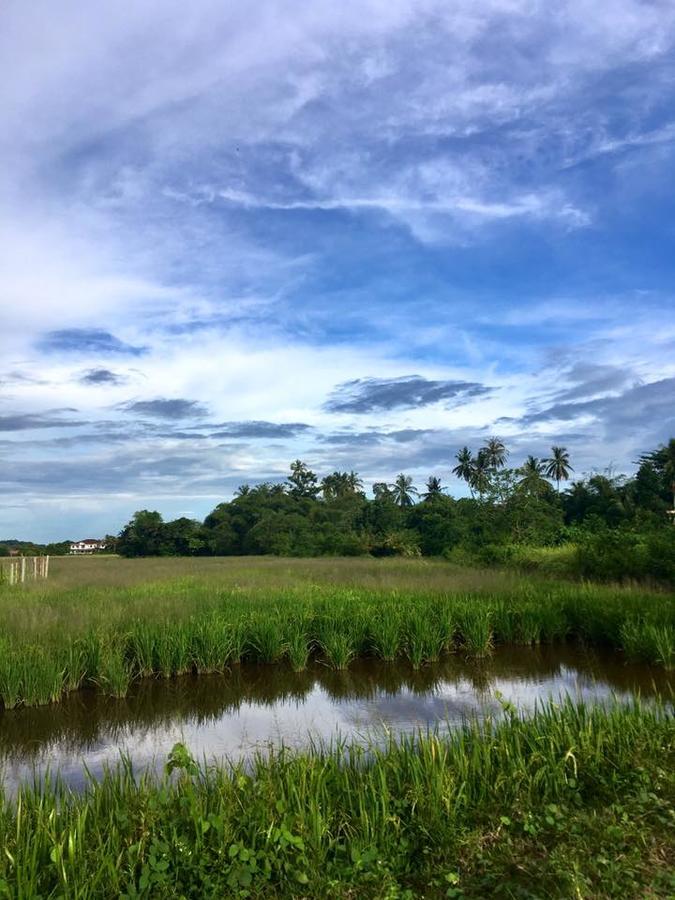 River View Cottage Padang Mat Sirat Luaran gambar